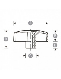 Mando Scallop hembra 2