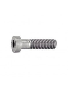 Tornillo Allen DIN 6912 inox A4